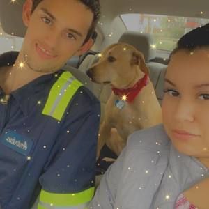 Meet your Posher, Roni